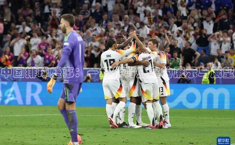 中国排球盛事：一场体育盛宴的展示与展望